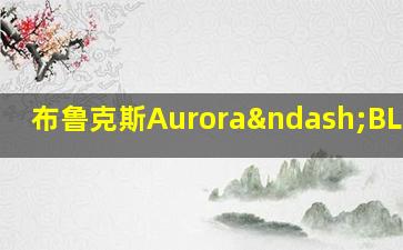 布鲁克斯Aurora–BL 极光